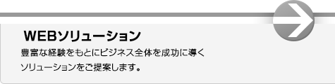 Webソリューション