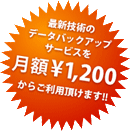 最新技術のデータバックアップサービスを月額¥1,200からご利用頂けます!!