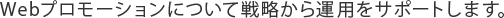 Webプロモーションについて戦略から運用をサポートします。
