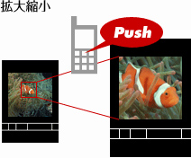 拡大縮小