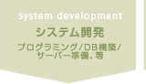 システム開発